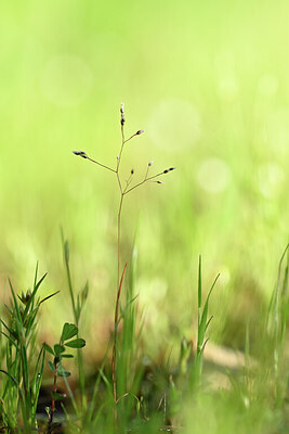 BUITEN BEELD Foto: 438920