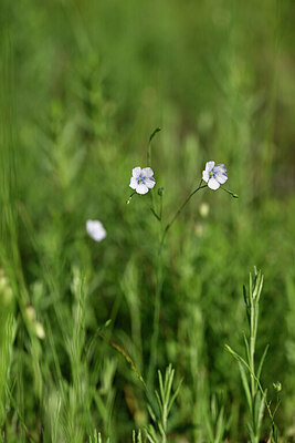 BUITEN BEELD Foto: 438934