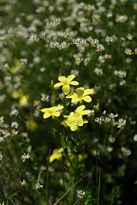 BUITEN BEELD Foto: 438937