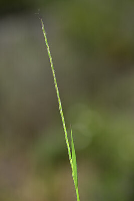 BUITEN BEELD Foto: 438941