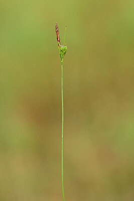BUITEN BEELD Foto: 438973
