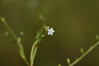 BUITEN BEELD Foto: 438976