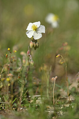 BUITEN BEELD Foto: 438995