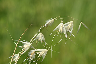 BUITEN BEELD Foto: 438997