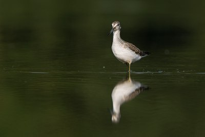 BUITEN BEELD Foto: 43004