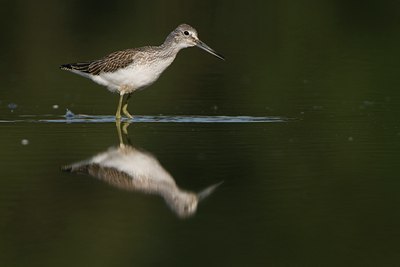 BUITEN BEELD Foto: 43007