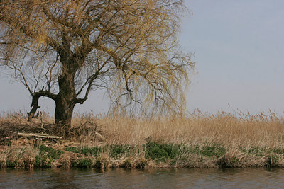 BUITEN BEELD Foto: 43129