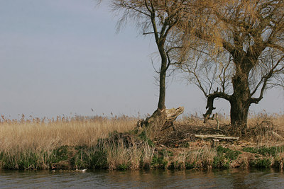 BUITEN BEELD Foto: 43130