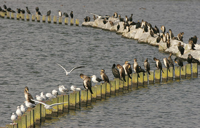 BUITEN BEELD Foto: 43133