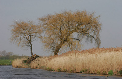 BUITEN BEELD Foto: 43136