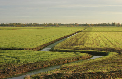 BUITEN BEELD Foto: 43137