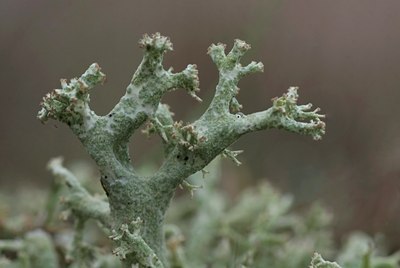 BUITEN BEELD Foto: 43149