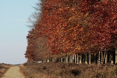 BUITEN BEELD Foto: 43166