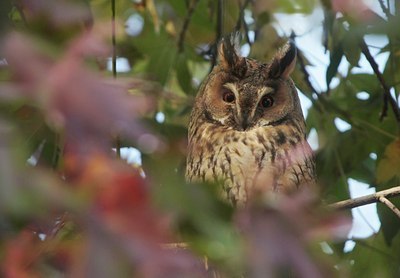 BUITEN BEELD Foto: 43179