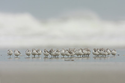 BUITEN BEELD Foto: 43192