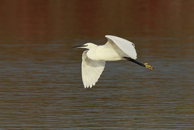 BUITEN BEELD Foto: 43193