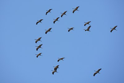 BUITEN BEELD Foto: 43196