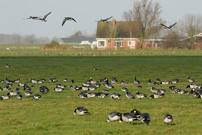 BUITEN BEELD Foto: 43212