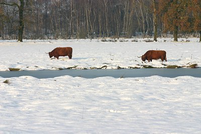 BUITEN BEELD Foto: 43237
