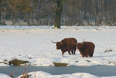 BUITEN BEELD Foto: 43238