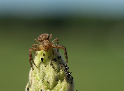 BUITEN BEELD Foto: 43239