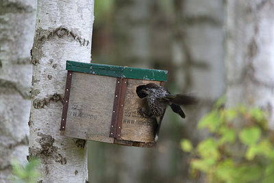 BUITEN BEELD Foto: 43302