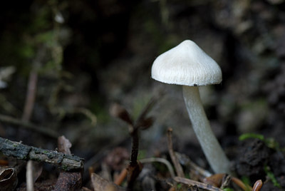 BUITEN BEELD Foto: 43320