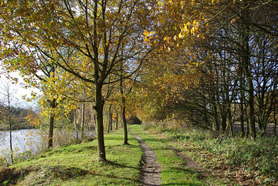 BUITEN BEELD Foto: 43333