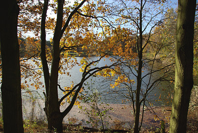 BUITEN BEELD Foto: 43334