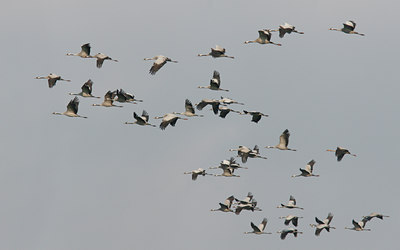 BUITEN BEELD Foto: 43343