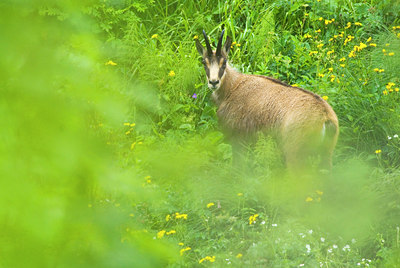 BUITEN BEELD Foto: 43350