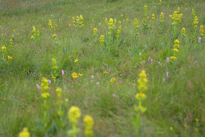 BUITEN BEELD Foto: 43355