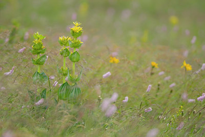 BUITEN BEELD Foto: 43356