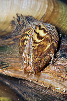 BUITEN BEELD Foto: 43374