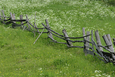 BUITEN BEELD Foto: 43382