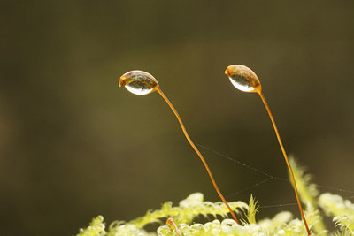 BUITEN BEELD Foto: 43391