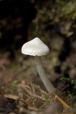 BUITEN BEELD Foto: 43436
