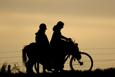 BUITEN BEELD Foto: 43566