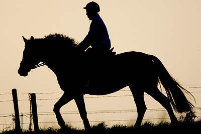 BUITEN BEELD Foto: 43582