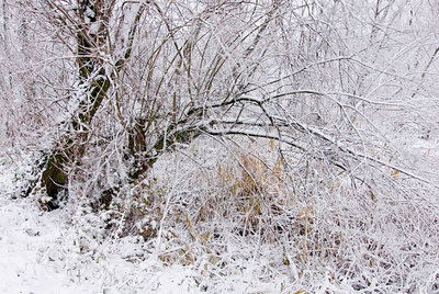 BUITEN BEELD Foto: 43632
