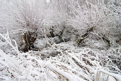 BUITEN BEELD Foto: 43638