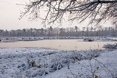BUITEN BEELD Foto: 43661