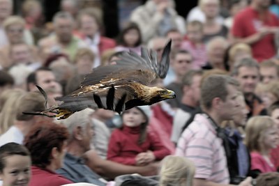 BUITEN BEELD Foto: 43685