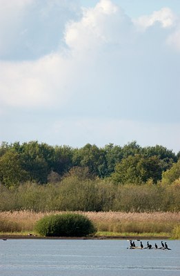 BUITEN BEELD Foto: 43695