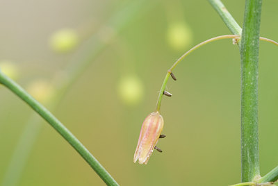BUITEN BEELD Foto: 43702