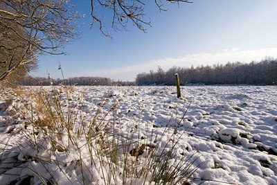 BUITEN BEELD Foto: 43707