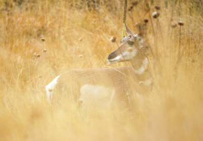 BUITEN BEELD Foto: 43722