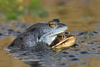 BUITEN BEELD Foto: 43737