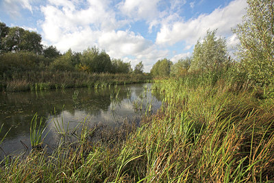 BUITEN BEELD Foto: 43760