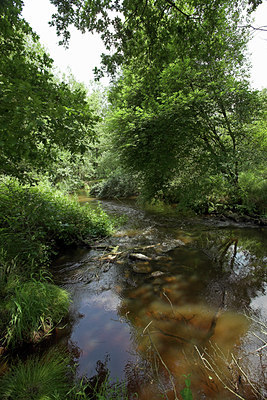 BUITEN BEELD Foto: 43769